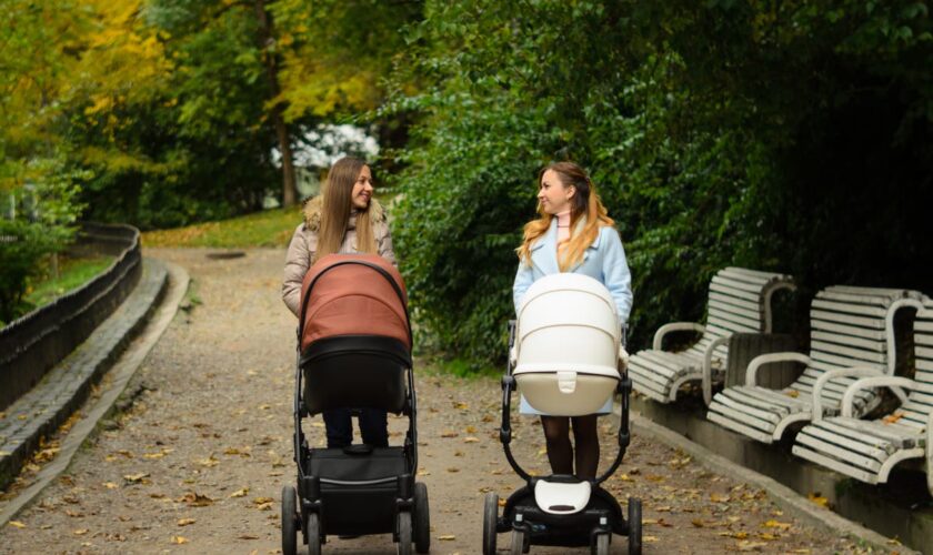 Mums are being robbed of their pricey buggies – and it’s sparked a mini crimewave