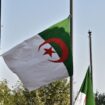 Les drapeaux de l'Algérie, à Alger, la capitale de l'Algérie (image d'illustration)