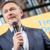 Spitzensteuersatz: FDP will Spitzenverdiener steuerlich entlasten