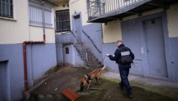 «Il faut taper au portefeuille» : la police se dote d’une brigade d’enquêteurs pour lutter contre la corruption liée au trafic de drogue