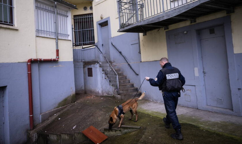 «Il faut taper au portefeuille» : la police se dote d’une brigade d’enquêteurs pour lutter contre la corruption liée au trafic de drogue