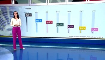 „Die Grünen waren auch schon deutlich besser“