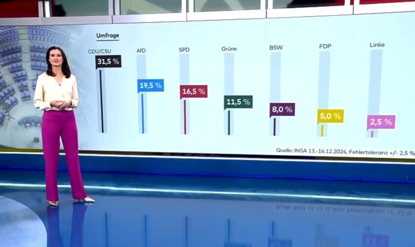 „Die Grünen waren auch schon deutlich besser“