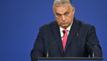 Demokratie: Orbán profitiert von neuer Wahlreform in Ungarn