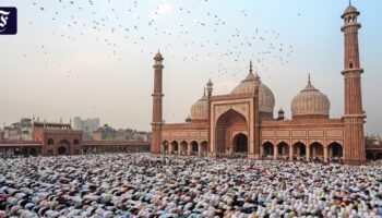 John Zubrzyckis Geschichte Indiens