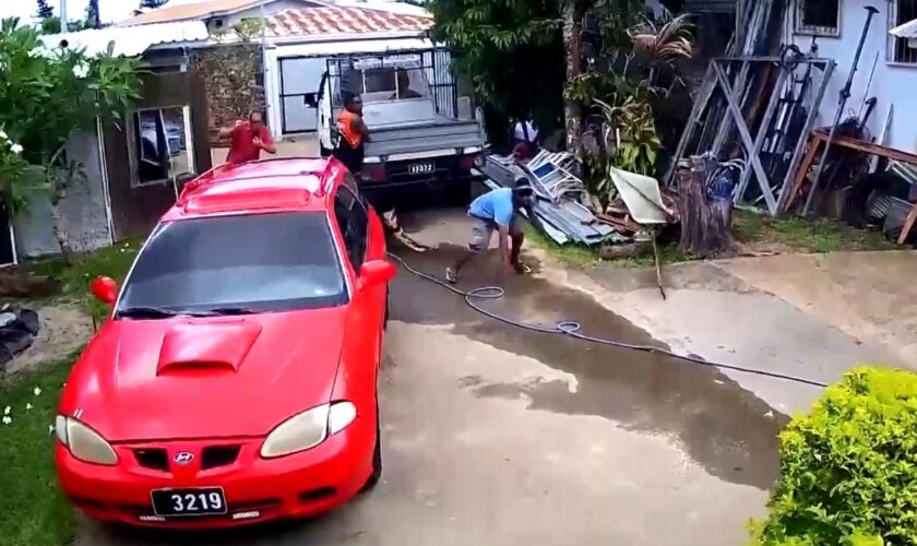 Pazifikinsel: Mindestens 14 Tote nach Erdbeben auf Vanuatu