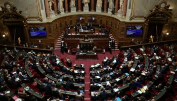 Les sénateurs examinent le projet de loi de financement de la sécurité sociale 2025, au Sénat à Paris le 26 novembre 2024