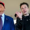 Drohender Shutdown in den USA: Trump und Musk mischen sich in Haushaltsdebatte ein