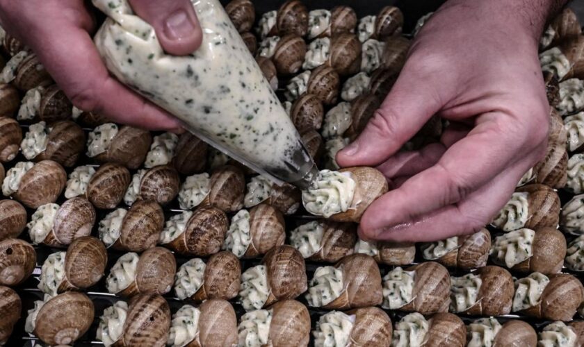 La France, le pays où le goûter est roi et l’escargot comestible