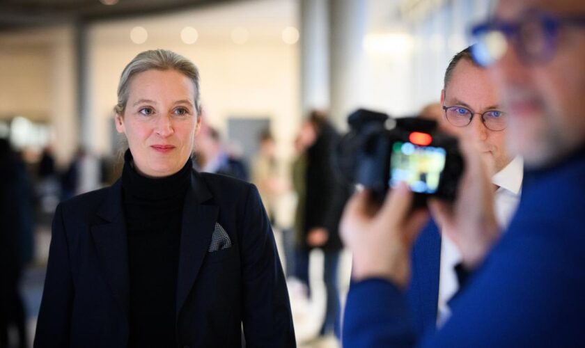 Weidel macht Selfies mit Schülern im Bundestag – warum das Video viral geht