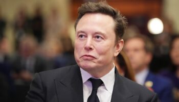 Après Donald Trump, Elon Musk soutient l’AfD, parti d’extrême droite allemand