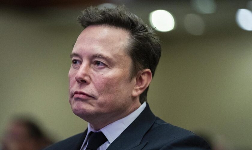 Elon Musk: Elon Musk beschimpft Bundeskanzler Olaf Scholz