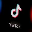 Social Media: Albanien will TikTok für ein Jahr sperren