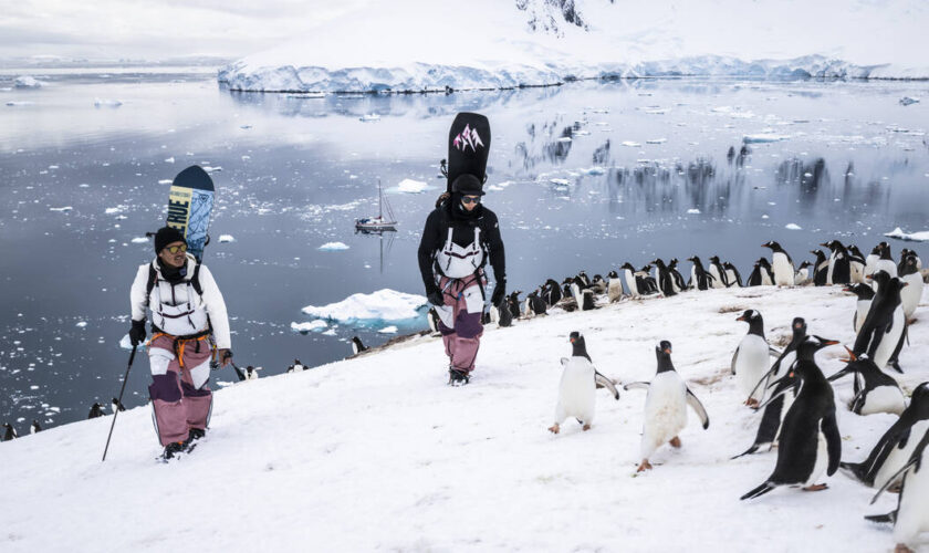 Du ski sur les icebergs de l’Antarctique