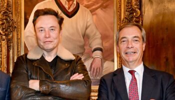 No 'immediate' plans to ban Musk giving Farage's Reform UK large donations - government