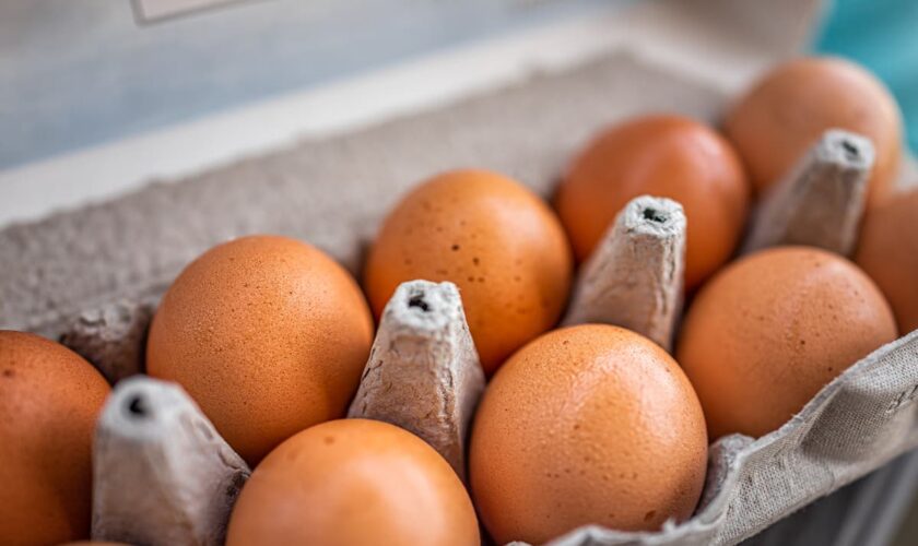 FDA raises Costco egg recall to highest alert amid salmonella concerns