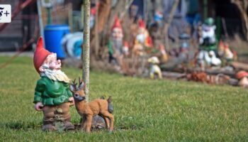 Weihnachten im Garten: Was Schrebergärten über Gemeinschaft lehren