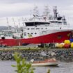 Un bateau de pêche russe dans le port de Kirkenes, le 4 juillet 2023 en Norvège