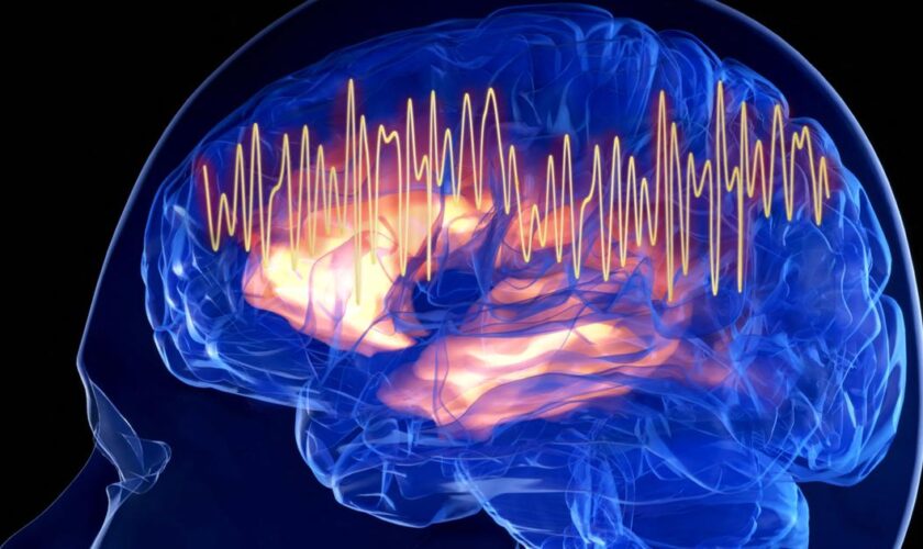 La pensée humaine est infiniment moins rapide que la perception sensorielle