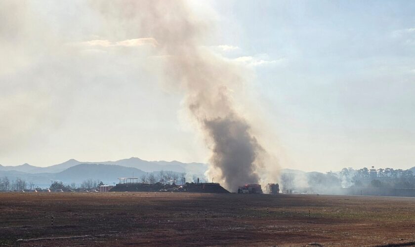 28 passengers killed in plane crash at South Korea airport