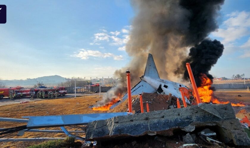 Südkorea: Flugzeugabsturz bei Landung mit mehr als 170 Passagieren