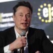 Elon Musk signe une tribune pro-AfD dans « Die Welt », une cadre de ce journal allemand démissionne