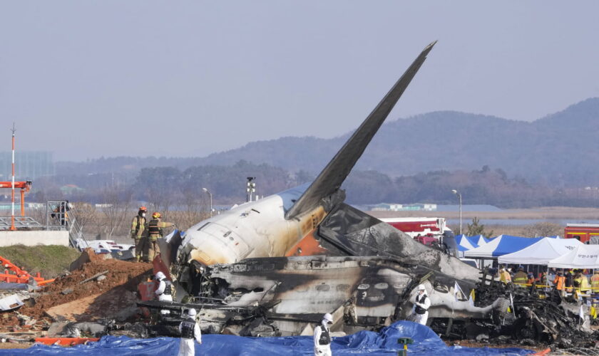 Crash d'avion en Corée du Sud : des oiseaux en cause ? La terrible vidéo du drame