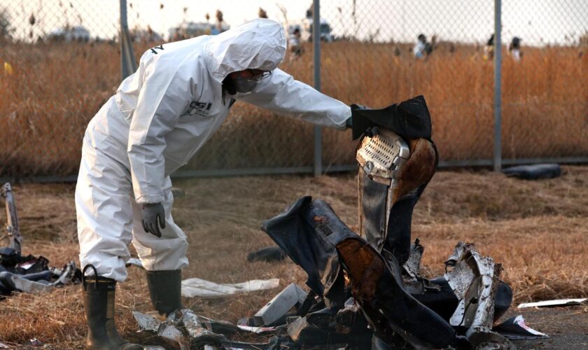 Flugzeugabsturz in Südkorea: Was über das Flugzeugunglück in Südkorea bekannt ist