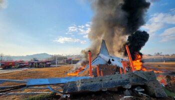 'Verging on criminal': South Korea airport authorities face serious questions over plane crash