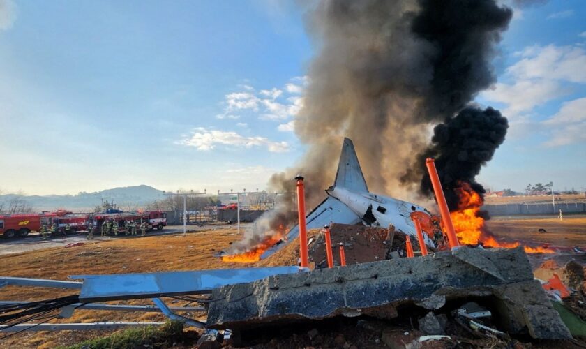 'Verging on criminal': South Korea airport authorities face serious questions over plane crash