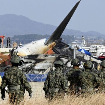 Pilot reported bird strike and declared mayday before South Korea plane crash