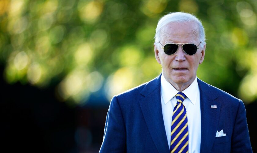 Biden fundraiser calls Trump a 'f---ing genius' as Democrats wonder if their brand is broken