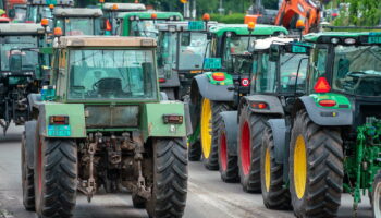 Mobilisation des agriculteurs : pourquoi sont-ils appelés à "bloquer" Paris dimanche 5 janvier