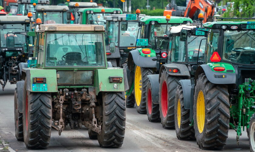 Mobilisation des agriculteurs : pourquoi sont-ils appelés à "bloquer" Paris dimanche 5 janvier