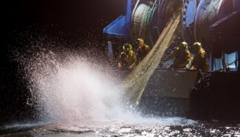 La pêche sera bien interdite dans le golfe de Gascogne cet hiver pendant un mois, confirme le Conseil d’État