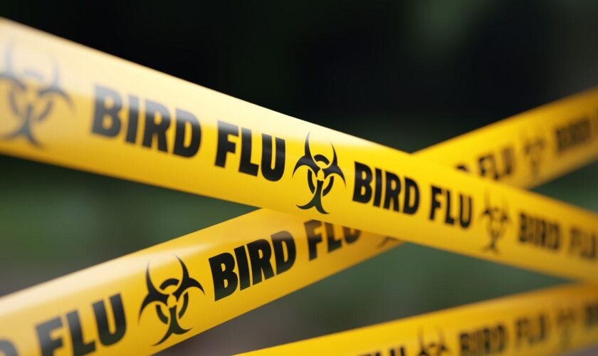 Bird flu outbreak expands, more Michigan poultry facilities exposed to virus