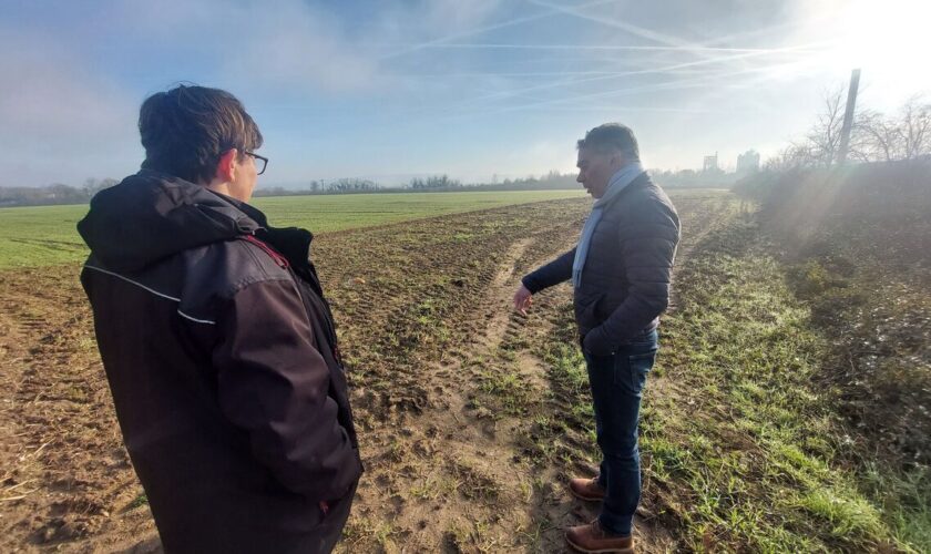 À Gargenville, la future forêt sera… comestible