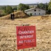 A69: la justice se prononce sur une possible suspension du chantier