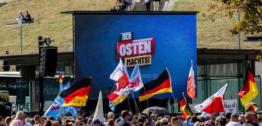 AfD: Die Bundesregierung sollte ein AfD-Verbot beantragen - Kommentar