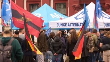 AfD will sich von eigener Jugendorganisation Junge Alternative (JA) trennen