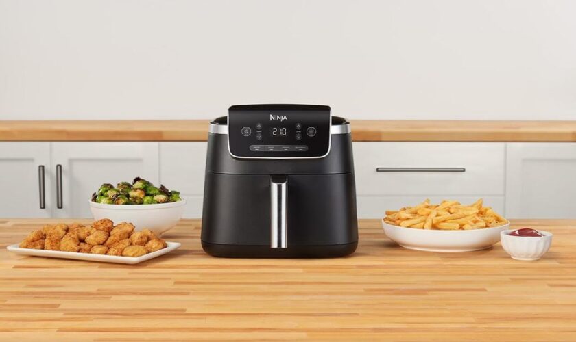 AirFryer Ninja Pro presque à -50% : la promo de l’année pour cuisiner malin !