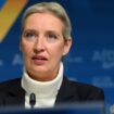 Allemagne : Alice Weidel, candidate d’extrême droite à la chancellerie, verbe haut et ambitions limitées