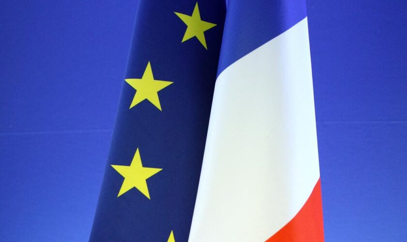 Allocations familiales : l’UE condamne la France pour son refus d’aider une famille entrée clandestinement