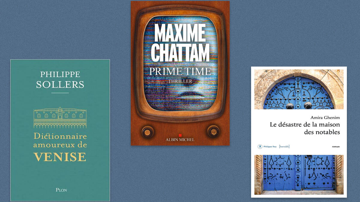 Amira Ghenim, Maxime Chattam, Philippe Sollers… Notre sélection livres de la semaine