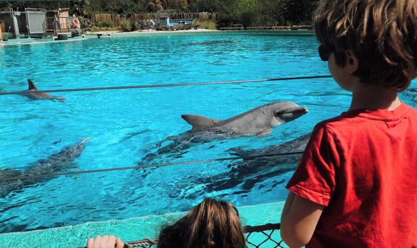 Après la fermeture de Marineland, la nécessaire métamorphose des parcs animaliers