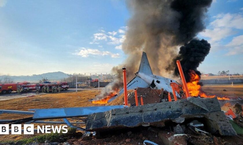 At least 28 dead in South Korea plane crash - reports