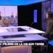 Aurélie Valtat: "On profite autant de l'arbre que lui  profite de nous en le protégeant."