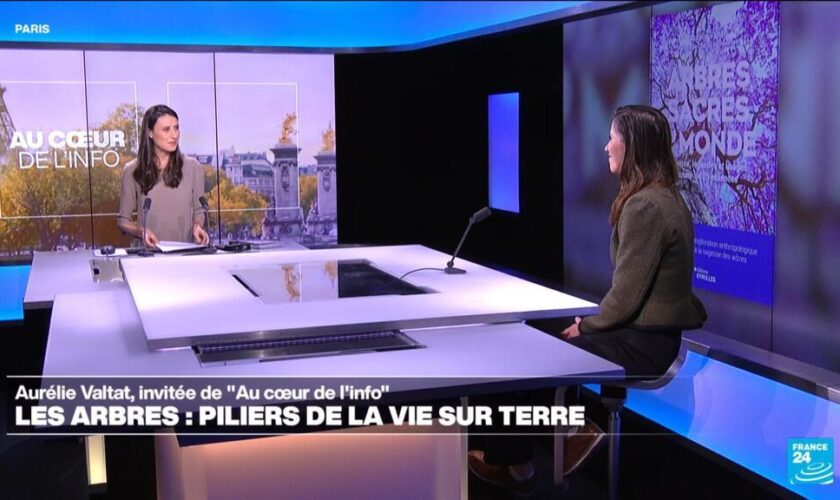 Aurélie Valtat: "On profite autant de l'arbre que lui  profite de nous en le protégeant."