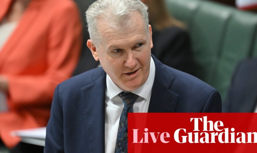 Australia news live: government speeds up humanitarian visas for Palestinians; PM to pledge $21m for WA critical minerals projects