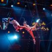 Bouglione, Gruss, Slava… Six spectacles de cirque chaudement recommandés